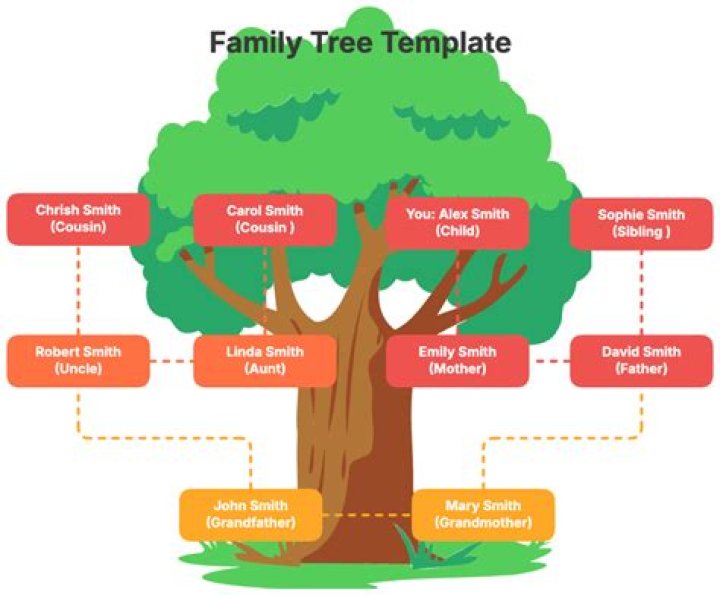 Are Stacy And Adam Schiff Related? Difference In Family Tree