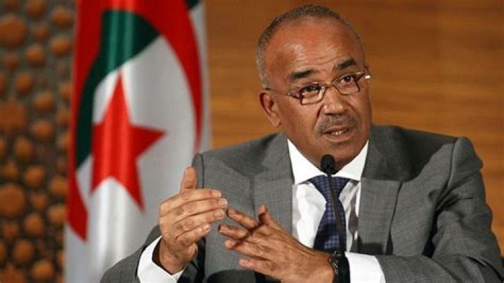 Nadir Larbaoui Wikipedia Biographie And Age: How Old Is Algeria New Prime Minister?